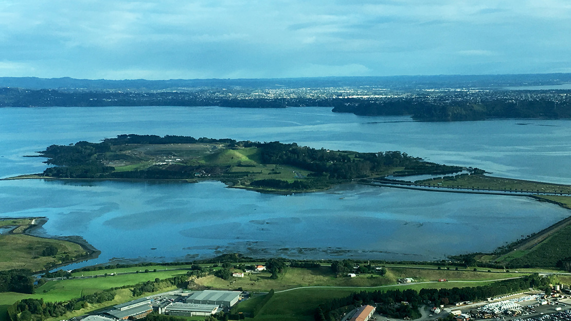 Puketutu Island.
