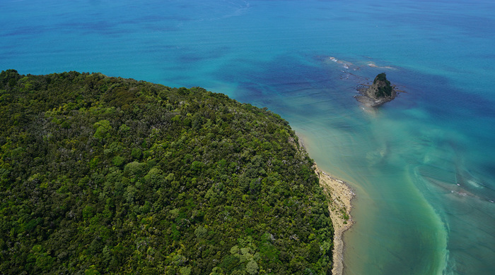 Puhoi river and Te Muri Regional Park.