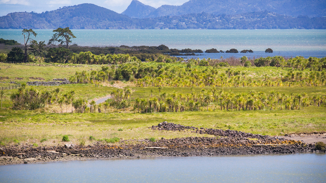 Ōtuataua biodiversity focus area.