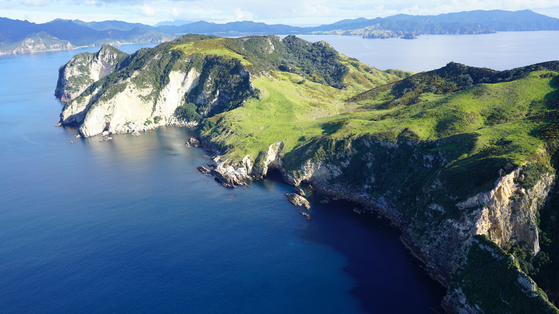 Rakitu Island.