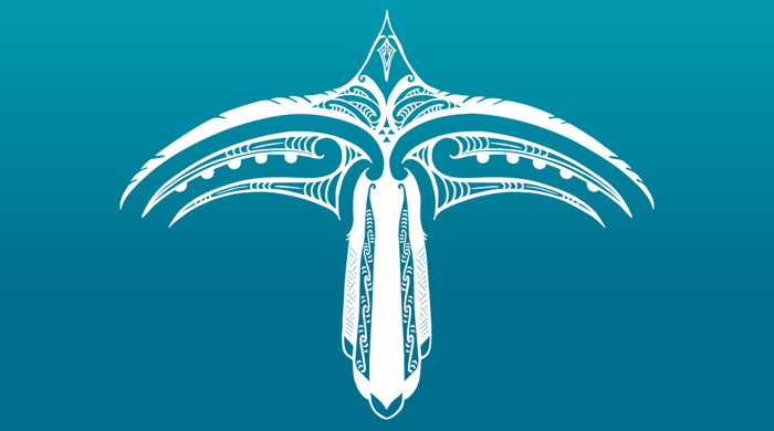 An illustration of the bird-like 'Haumanu' from above with wings spread showing the various design elements.